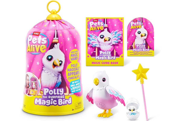 Immagine di PA Polly  Magic Bird TV