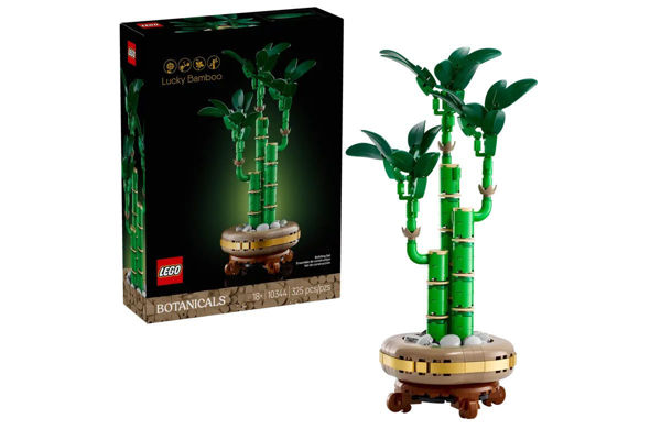 LEGO Botanicals 10344 Bambù del buon auspicio decorativo