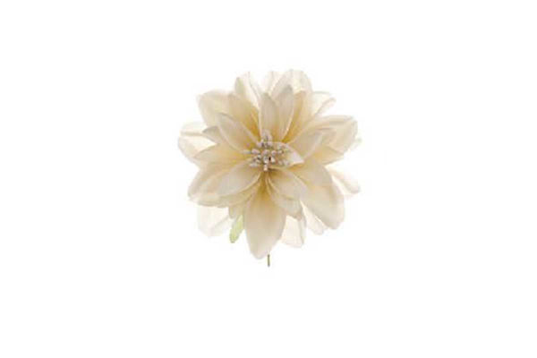 6 dalie decorative medie da 9 cm colore beige