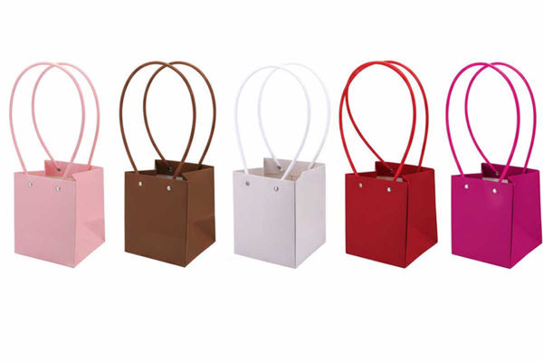 Borsetta in plastica rigida 10×13×15,5 cm disponibile in diversi colori