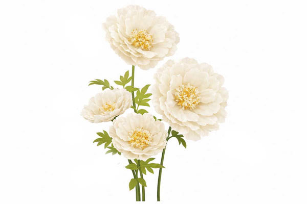 Peonia panna decorativa con stelo disponibile in diverse dimensioni