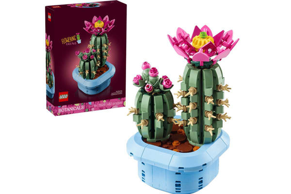 LEGO Botanicals 11509 Cactus in Fiore