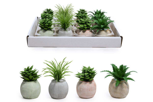 Mini pianta vaso cemento 5x7 cm