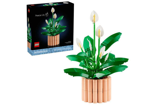LEGO Spatifillo Botanicals 10304