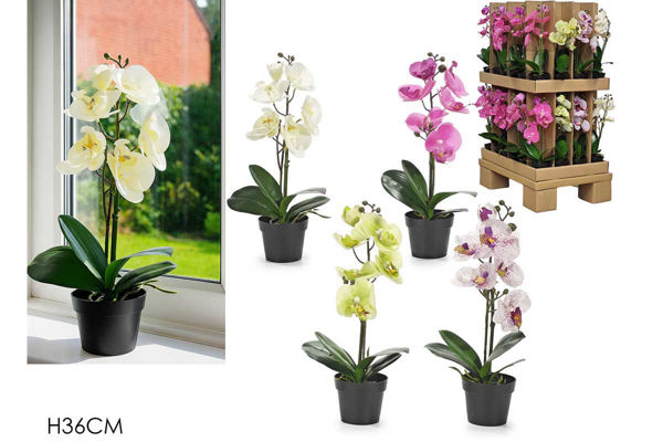 vaso con orchidea decorativa 36 cm centrotavola elegante