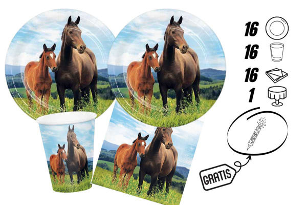 kit festa cavallie candelina omaggio 16 persone