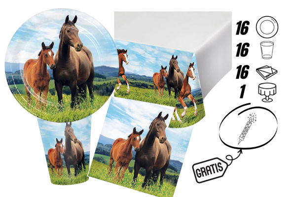 kit festa cavalli con tovaglia e candelina omaggio 16 persone