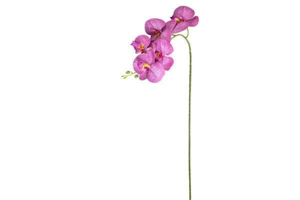 orchidea artificiale viola 5 fiori 66 cm decorazione