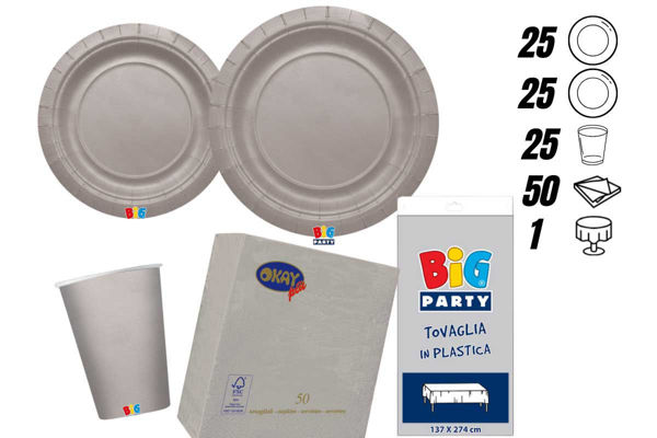 kit festa ecolor argento 25 persone con tovaglia