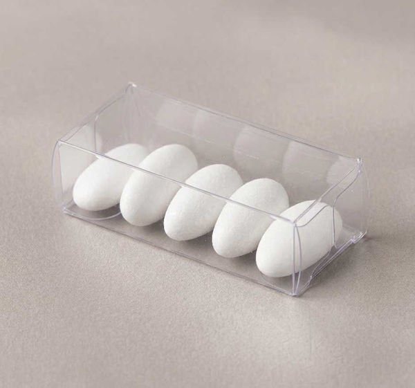 Scatola Trasparente in Pvc 7x2x3 cm 10 pezzi -