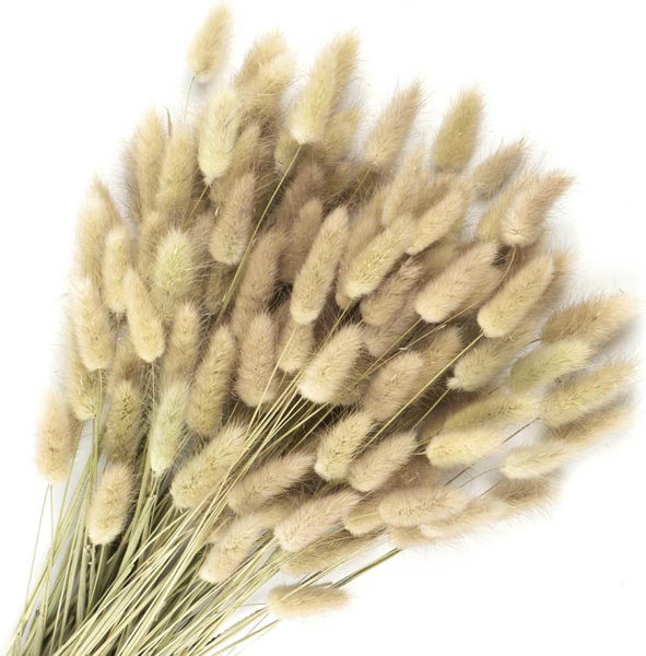 Mazzo coda di topo naturale con fiori secchi decorativi