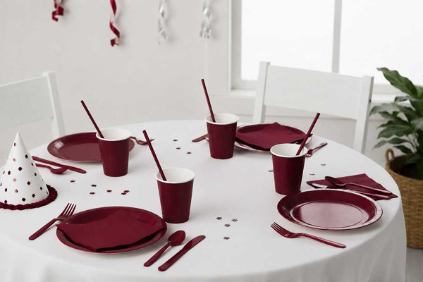 Coordinato Ecolor Borgogna