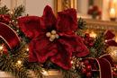 Magnolia Bordeaux in Poliestere con Pinza