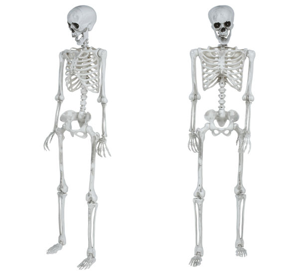 scheletro articolato Halloween 145 cm Guirca
