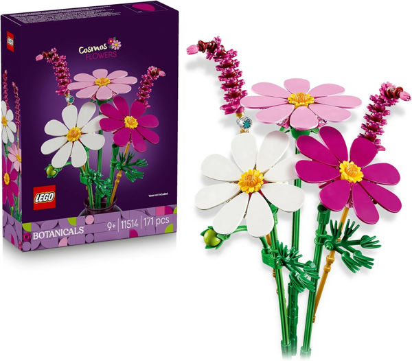 Immagine di LEGO Botanicals Fiori di Cosmos