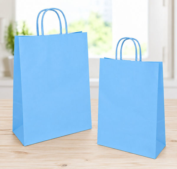Immagine di Busta Regalo in Carta Celeste 36x12x40 cm