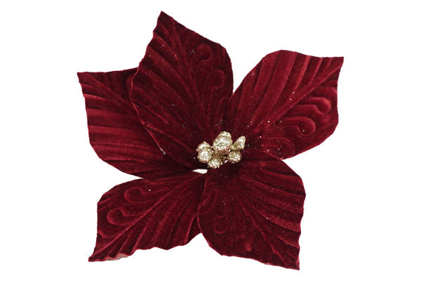 Immagine di Fiore natalizio a 5 petali bordeaux e champagne