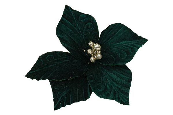 Immagine di Fiore natalizio a 5 petali verde scuro e champagne